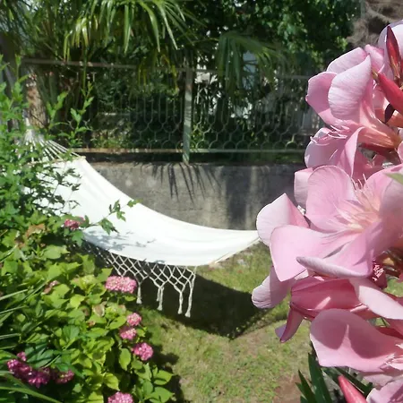Rose *