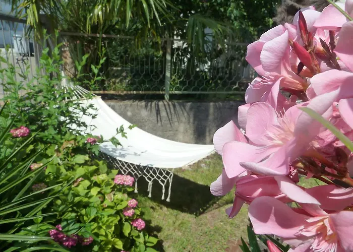 Rose *
